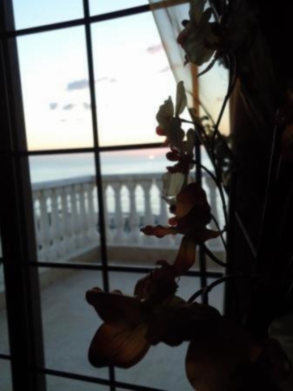 Siena Hotel Main image