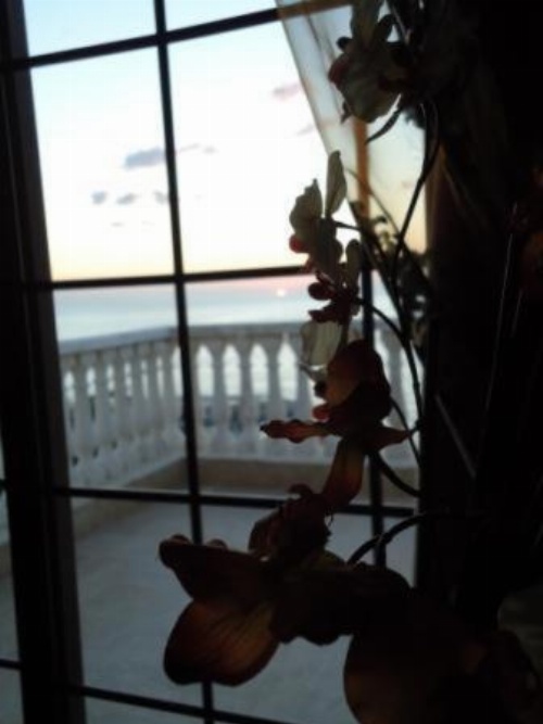 Siena Hotel image 3
